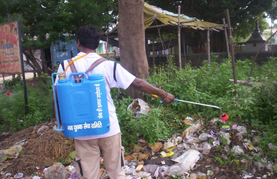 ngonyss.org