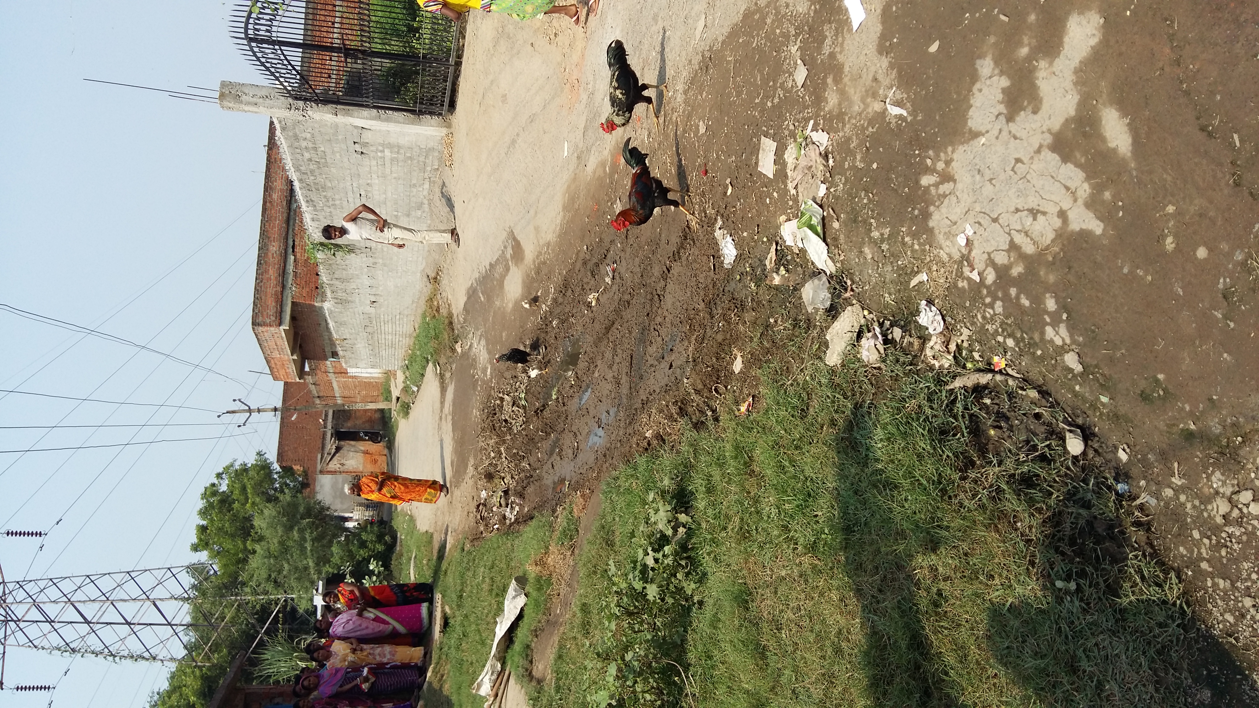 Post Image